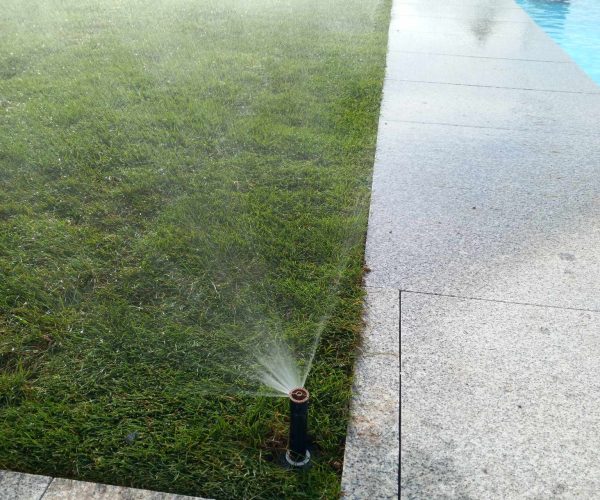 ogrody z pasja kielce nawadnianie trawników