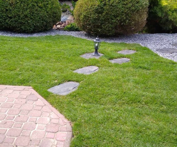 ogrody z pasja kielce pielegnacja ogrodów