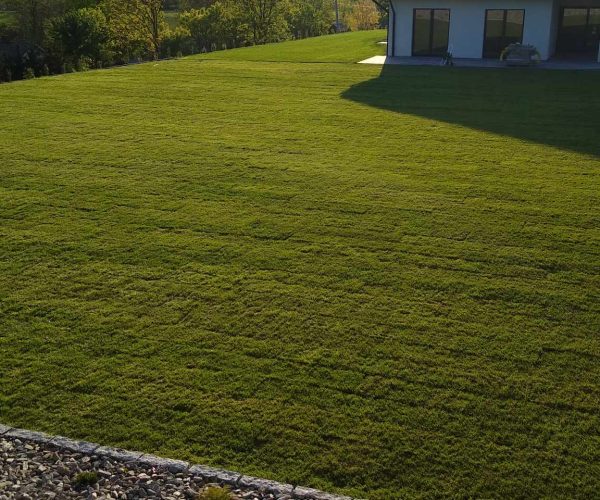 ogrody z pasją kielce zakładanie trawników